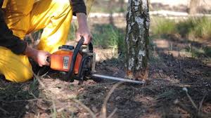 Best Soil Testing and Treatment  in Crown Heights, NY