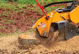 Best Tree and Shrub Care  in Crown Heights, NY